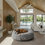 Dog lying on a fluffy gray pet bed in a modern living room with a pool view.