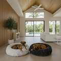 Two boxer dogs lying on fluffy pet beds in a modern living room with large windows.
